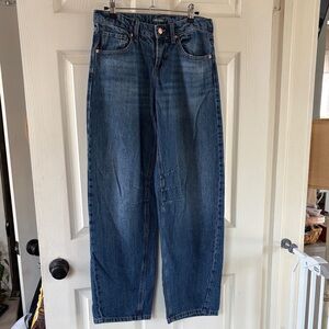 Wild Fable Blue Denim Barrell Jeans